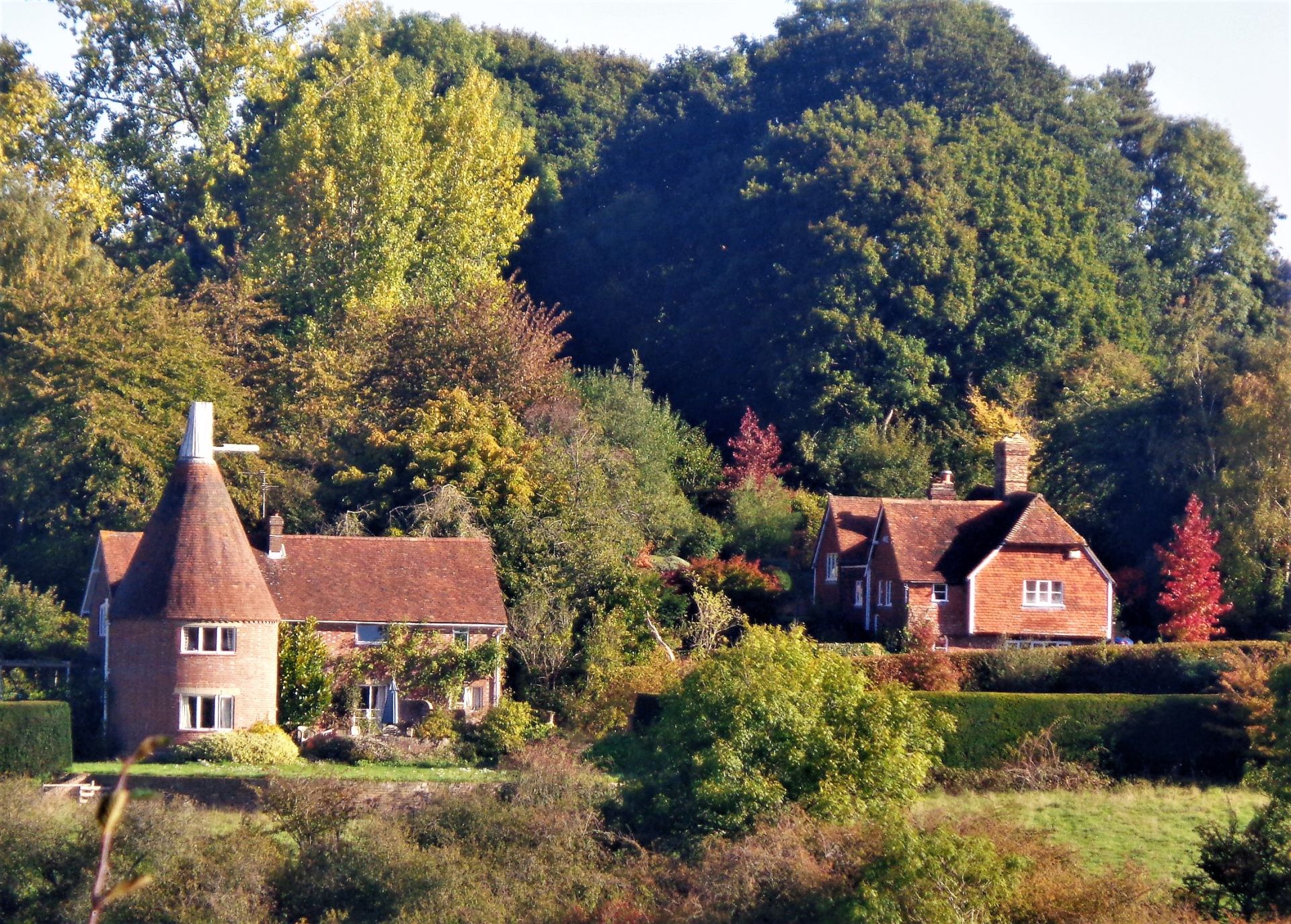 View from the walk